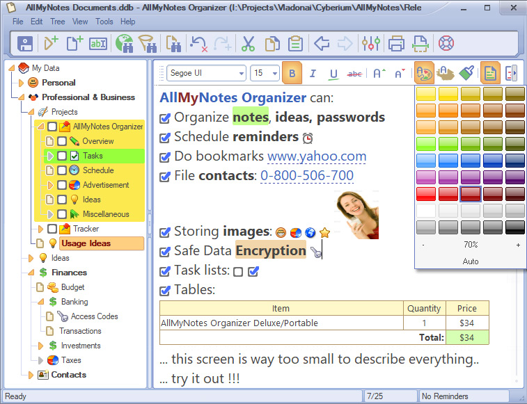 AllMyNotes Organizer Deluxe Edition 3.52