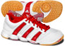 <? echo compile_copyedited_text('[Sport|Sports]'); ?>