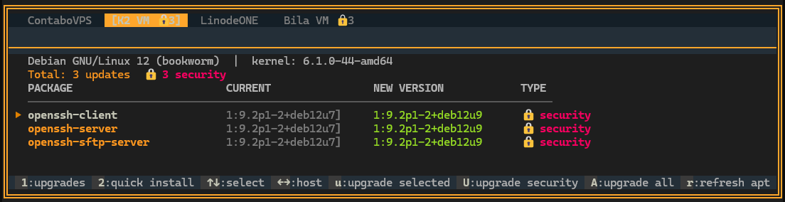 APT Update Manager - See available updates and security patches across your servers - (Deflect One Screenshot)