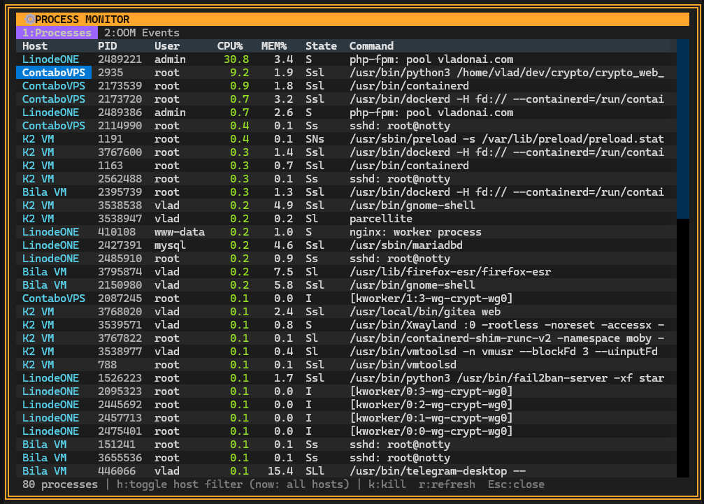 Multi-server Process Monitor - Track CPU, RAM, disk, and process usage across your hosts at once - (Deflect One Screenshot)